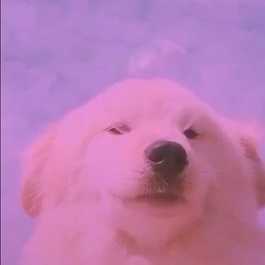 Was up, I’m 19 and I never learned how to read